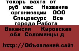 токарь. вахта. от 50 000 руб./мес. › Название организации ­ ООО Спецресурс - Все города Работа » Вакансии   . Кировская обл.,Соломинцы д.